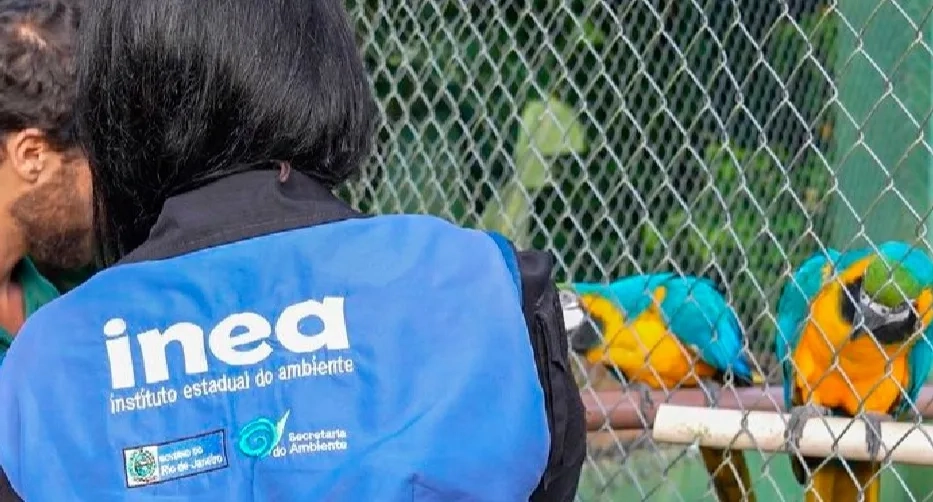 Operação resgata mais de 20 animais silvestres mantidos em sítio na zona oeste