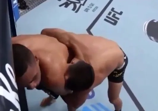 ( video) Lutador Brasileiro  é demitido do UFC após surto em Estreia