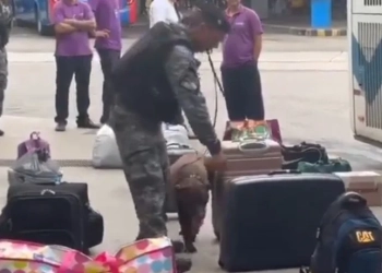Grande Apreensão de Entorpecentes na Rodoviária Novo Rio