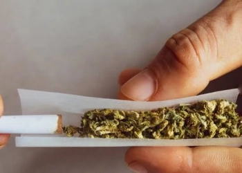 O Crepúsculo da Liberdade: A Nova Era do Controle Absoluto Sobre Substâncias Ilícitas