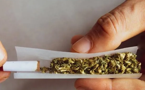 O Crepúsculo da Liberdade: A Nova Era do Controle Absoluto Sobre Substâncias Ilícitas