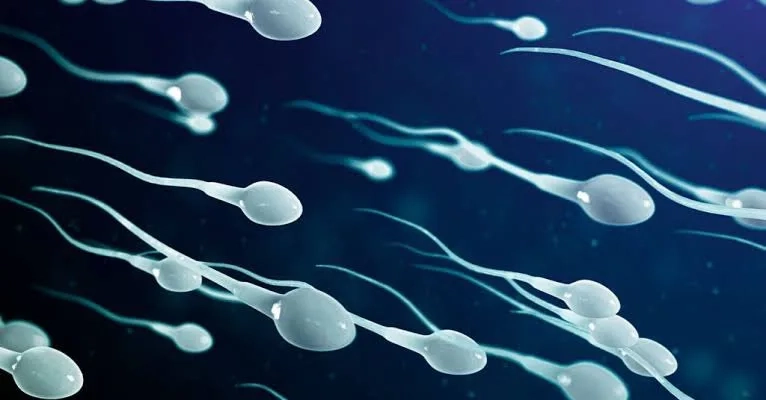 ALÍVIO INUSITADO: Estudo Revela Que Ejacular com Frequência Pode Prevenir Câncer de Próstata