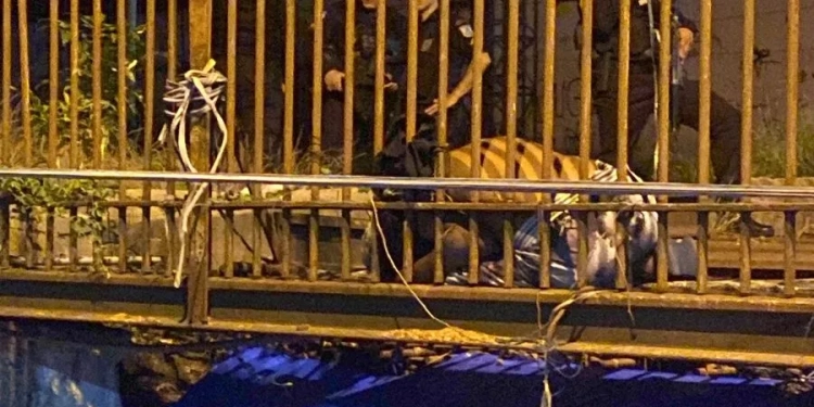 Confronto entre Facções Rivais Deixa um Morto e Dois Feridos na Estação de Trem no Rio