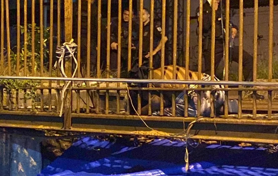 Confronto entre Facções Rivais Deixa um Morto e Dois Feridos na Estação de Trem no Rio