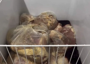 ESCÂNDALO DE NEGLIGÊNCIA: MAIS DE 100KG DE CARNE PODRE EM FREEZERES DE HOSPITAL MATERNIDADE NO RIO