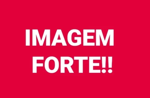 ( imagens fortes) Mistério e Terror: Corpos Encontrados com Marcas de Fuzil Próximo a um Cemitério no RJ