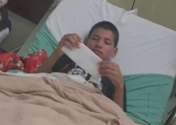 Menino é Mordido por Jacaré na zona oeste do Rio