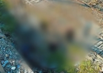( Video) Homem “Cai” de Passarela em Campo Grande e Interrompe Circulação de Trens