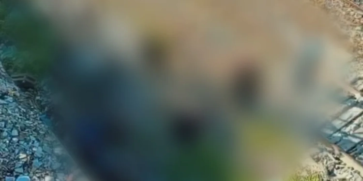 ( Video) Homem “Cai” de Passarela em Campo Grande e Interrompe Circulação de Trens