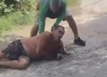 ( Video) Homem Corajoso Imobiliza Pitbull Furioso e vira heroi no Rio