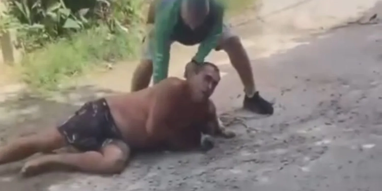 ( Video) Homem Corajoso Imobiliza Pitbull Furioso e vira heroi no Rio