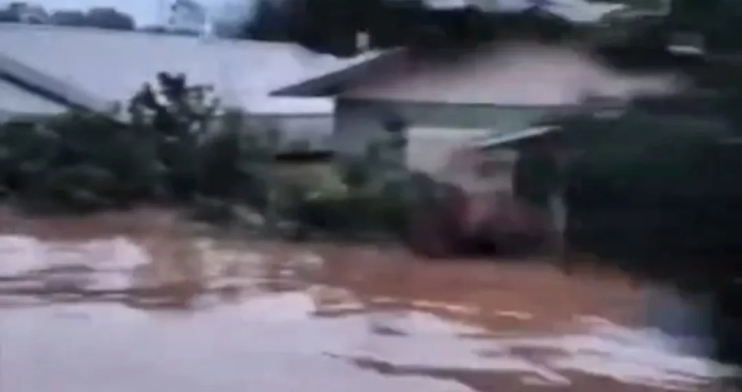 Fake News: A Ameaça Silenciosa que Está Destruindo o Planeta