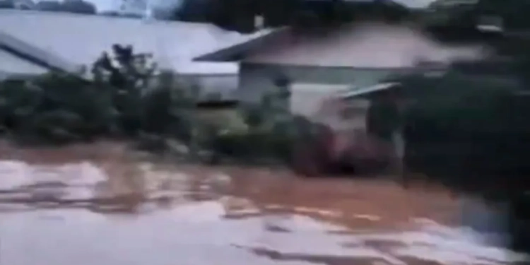 Fake News: A Ameaça Silenciosa que Está Destruindo o Planeta