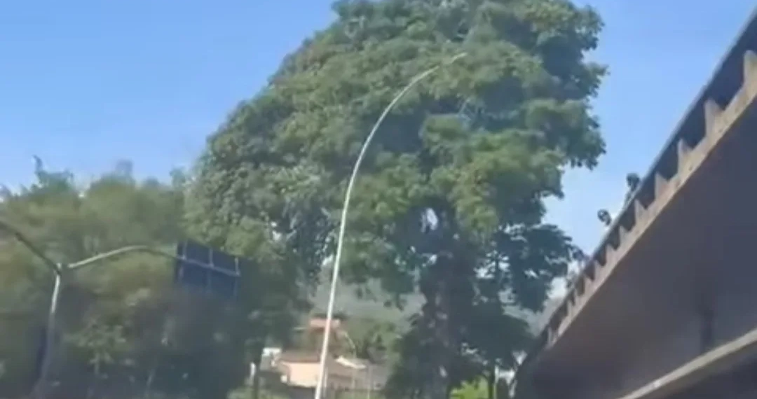 ( Video)Ladrão Tentou Roubar Ônibus e Foi Jogado de Viaduto por Populares no Rio