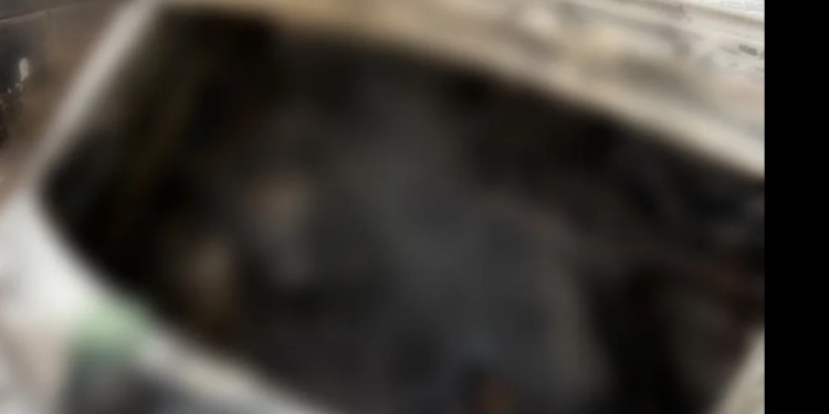 ( Foto) Corpo é encontrado carbonizado em porta malas de carro