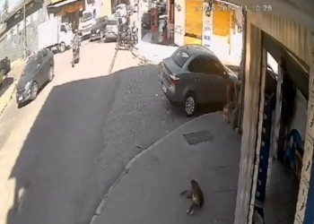 Câmera de Segurança Flagra Ataque de Milicianos Rivais em Queimados: Um Morto e Quatro Presos