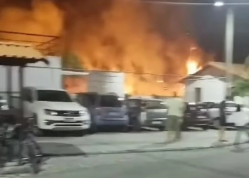 ( Video) Incêndio criminoso em Campo Grande deixa moradores em pânico!!