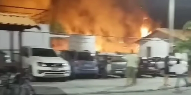 ( Video) Incêndio criminoso em Campo Grande deixa moradores em pânico!!