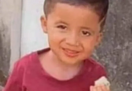 Menino desaparecido é encontrado morto numa piscina em Santa Cruz