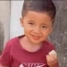 Menino desaparecido é encontrado morto numa piscina em Santa Cruz