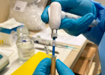 Descoberta inédita: Cocaína encontrada em tubarões na costa do Rio de Janeiro