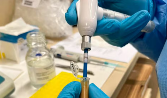 Descoberta inédita: Cocaína encontrada em tubarões na costa do Rio de Janeiro