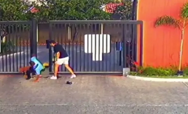 ( Video) Ataque de Pitbull Deixa Porteiro e Dois Adolescentes Feridos em Condomínio