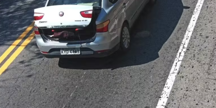 Idosa Morta em Volta Redonda: Criminoso Se Passou por Cadeirante