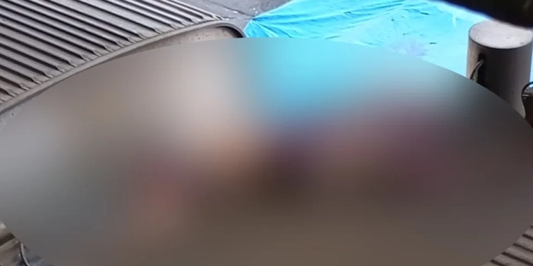 VÍDEO: Homem Morre ao Tentar Roubar Cabos em Trem na Estação Madureira