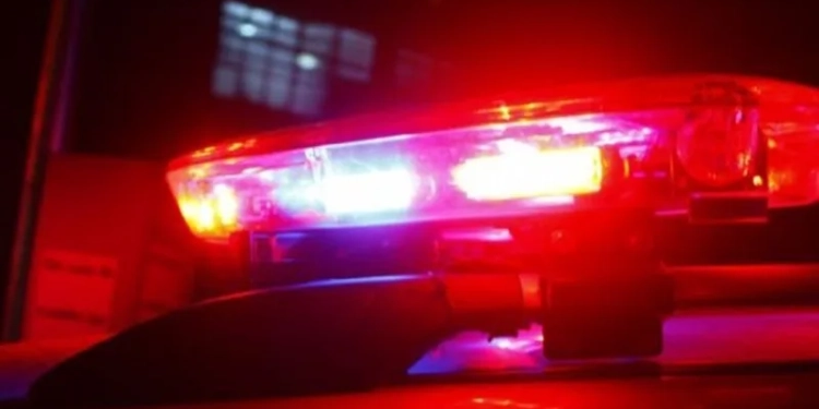 Mãe mata filha com disparo acidental de arma de fogo