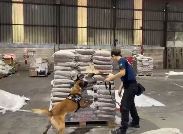 Urgente: Receita Federal faz maior apreensão de cocaína no Porto de Itaguaí; 1 tonelada avaliada em R$ 300 milhões