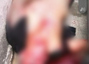 Tragédia em Guaratiba!!Proprietário de Salão de Festas é Executado na Porta de Casa