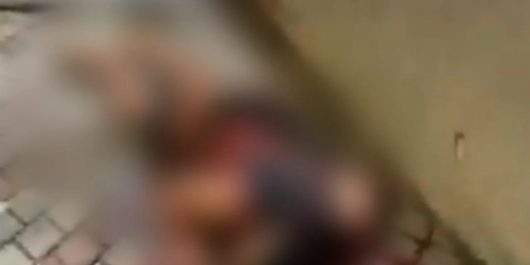 (Video)Perseguição e Tiroteio no Rio Termina com Ladrão Morto e População em Festa