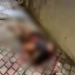 (Video)Perseguição e Tiroteio no Rio Termina com Ladrão Morto e População em Festa