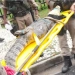 Jacaré é Resgatado Dentro de Condomínio no Recreio