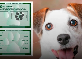 Identidade Nacional para Animais Domésticos: Cadastro Gratuito Entra em Vigor em 2025
