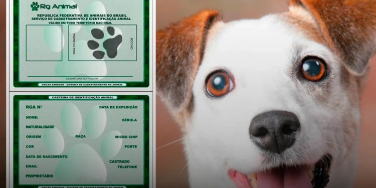 Identidade Nacional para Animais Domésticos: Cadastro Gratuito Entra em Vigor em 2025