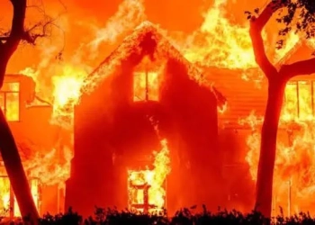 Tragédia em Los Angeles: Incêndios Florestais Já Deixam 16 Mortos