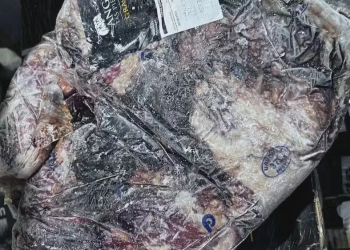 Polícia diz que frigorífico ‘maquiou’ carne estragada do RS e reembalou como produto nobre do Uruguai