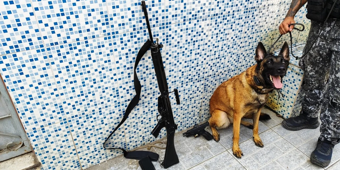 Operação da PMERJ Apreende Fuzis, Drogas e Recupera Veículos Roubados