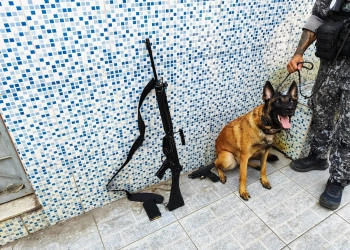 Operação da  PMERJ Apreende Fuzis, Drogas e Recupera Veículos Roubados