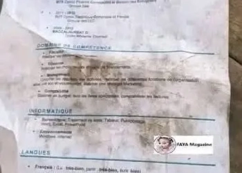 Jovem Compra Camarão Seco e Descobre Seu Próprio Currículo no Pacote