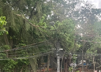 Tempestade Assusta e Causa Destruição em Campo Grande