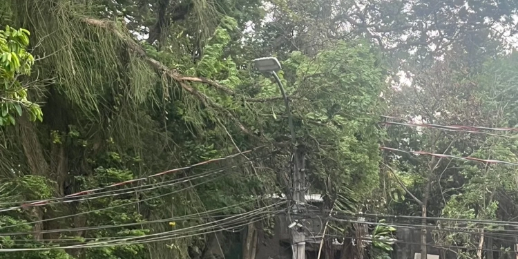 Tempestade Assusta e Causa Destruição em Campo Grande