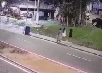 ( Video) Jovem de 18 Anos Morre Atropelada em Cima da Calçada; Motorista é Capturado