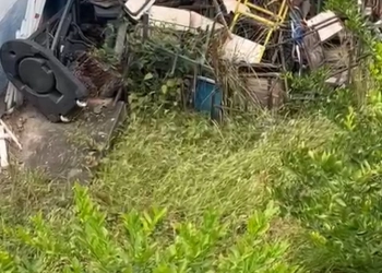 ( Video) Escola em Campo Grande é alvo de denúncia: abandono, lixo e infestação de ratos preocupam moradores