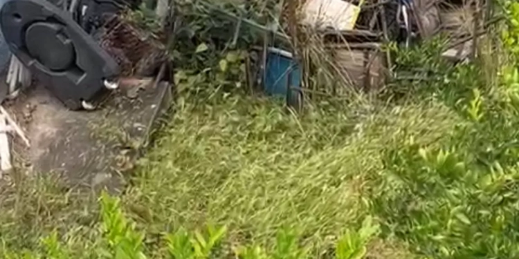 ( Video) Escola em Campo Grande é alvo de denúncia: abandono, lixo e infestação de ratos preocupam moradores