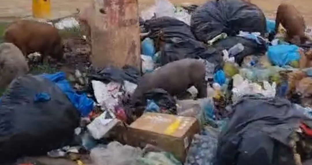 ( Video)Estrada Rio-São Paulo sofre com lixo e abandono