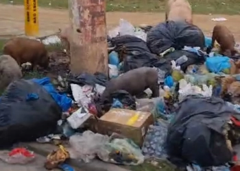 ( Video)Estrada Rio-São Paulo sofre com lixo e abandono