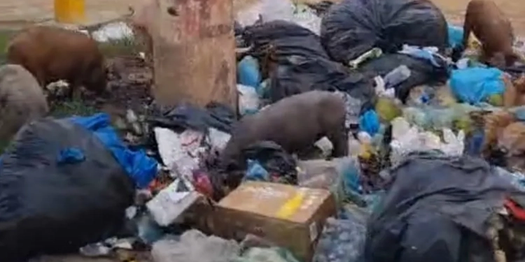 ( Video)Estrada Rio-São Paulo sofre com lixo e abandono